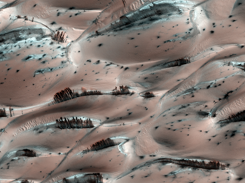 Mars' ghost forests.