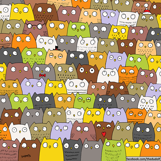 cat among owls