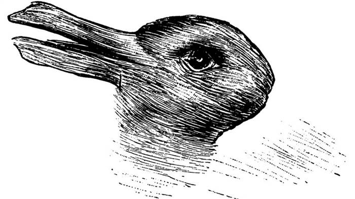 rabbit-duck-drawing-tease-today-160215_48fe2de007003bff87240c2107aaa762.today-inline-large