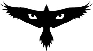bird in flight silhouette with eyes on wings